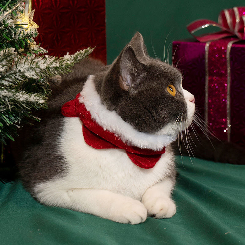 猫咪圣诞套装头饰斗篷帽子围脖多款圣诞服饰柯基布偶宠物圣诞衣服