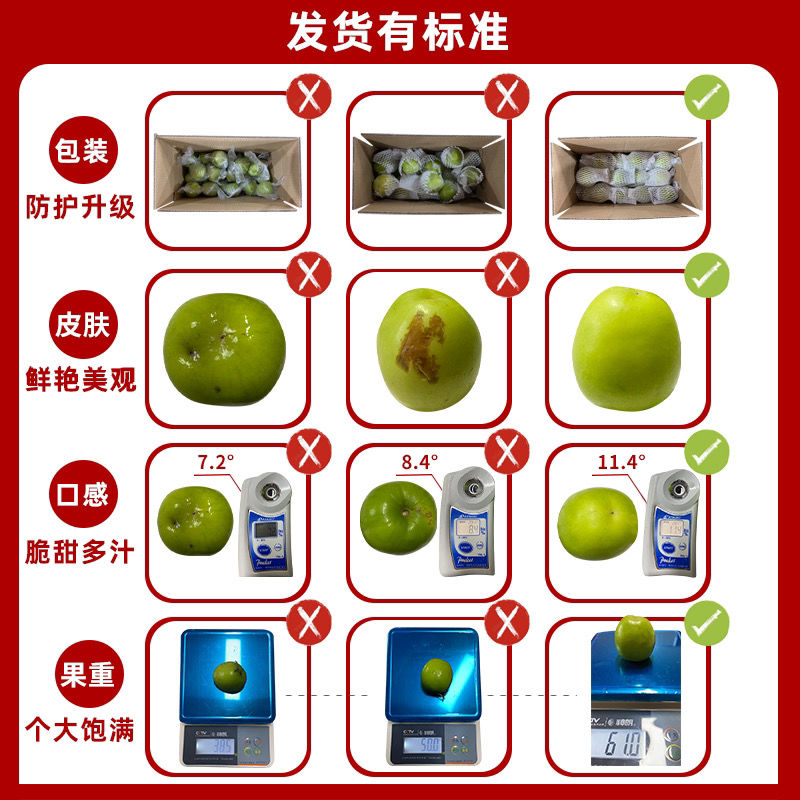 105793-锦柚甜心 福建牛奶青枣净重2.8/4.5/8.5斤贵妃脆蜜枣新鲜枣子水果-详情图