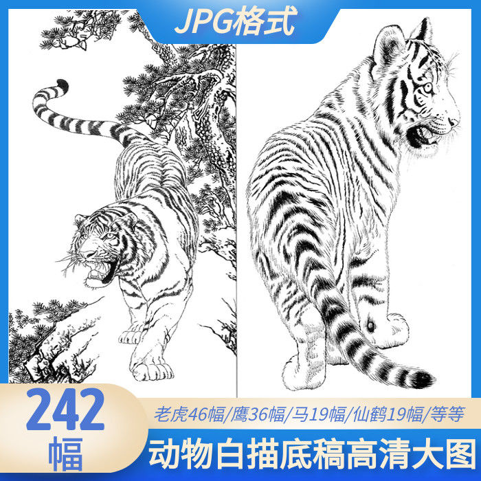工笔画动物白描底稿大图手绘国画临摹猫狗老虎马鹰线稿电子版素材