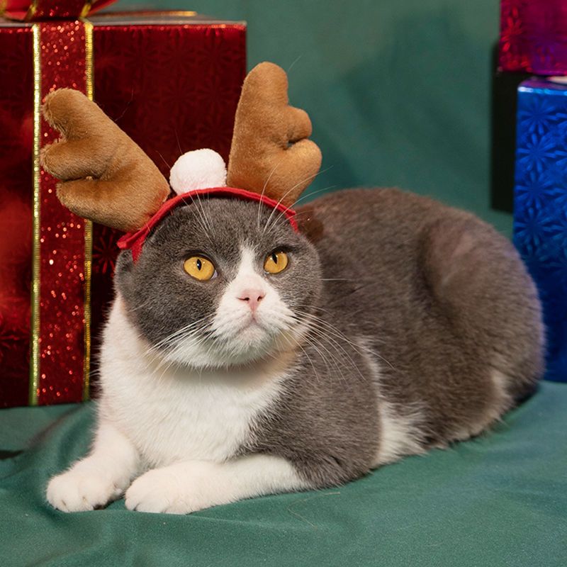 猫咪圣诞套装头饰斗篷帽子围脖多款圣诞服饰柯基布偶宠物圣诞衣服