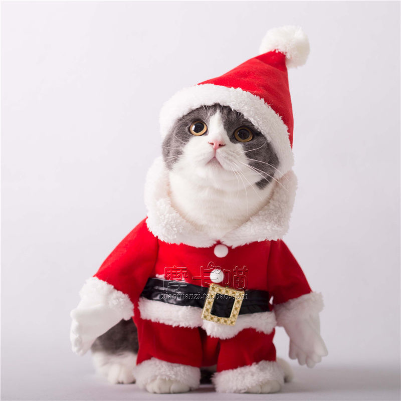 猫咪衣服可爱圣诞老人装加绒款斗篷披风帽子圣诞必备饰品狗狗衣服