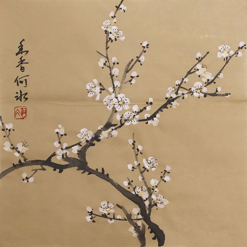 中式仿古字画真迹手绘白梅花书画作品斗方装饰画无框挂画宣纸画芯