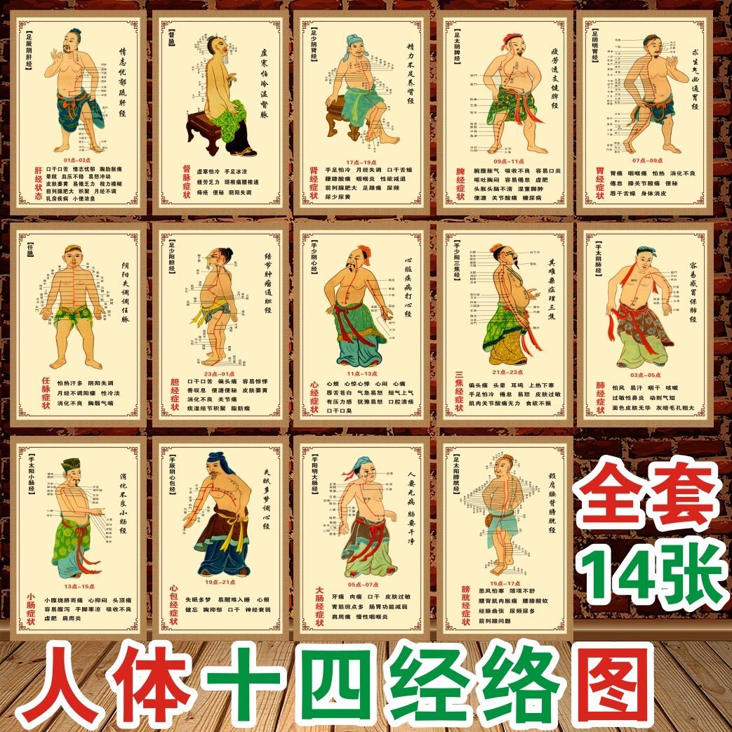 中医人体十四经络穴位示意经络人体经穴14条经脉十二经络走向图