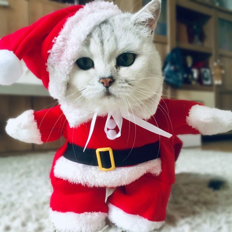 猫咪衣服可爱圣诞老人装加绒款斗篷披风帽子圣诞必备饰品狗狗衣服