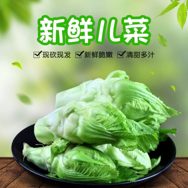 四川娃儿菜儿菜娃娃菜抱母菜胖儿菜新鲜蔬菜现摘现发包邮