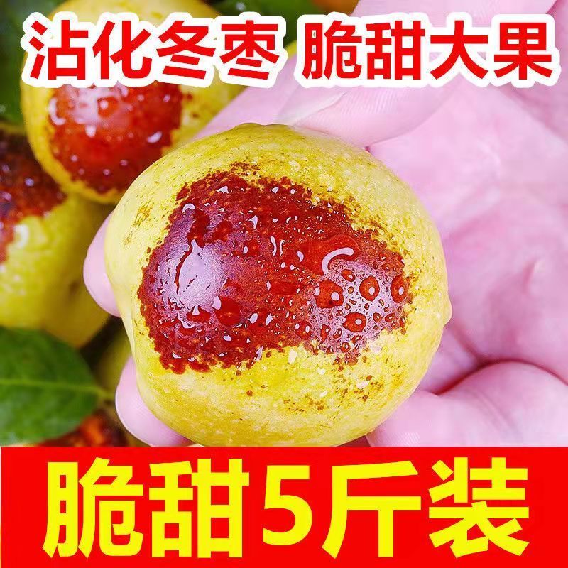 106021-山东沾化冬枣新鲜水果当季整箱特大5斤枣子脆枣鲜枣甜冬枣-详情图