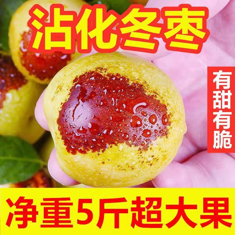 106021-山东沾化冬枣新鲜水果当季整箱特大5斤枣子脆枣鲜枣甜冬枣-详情图