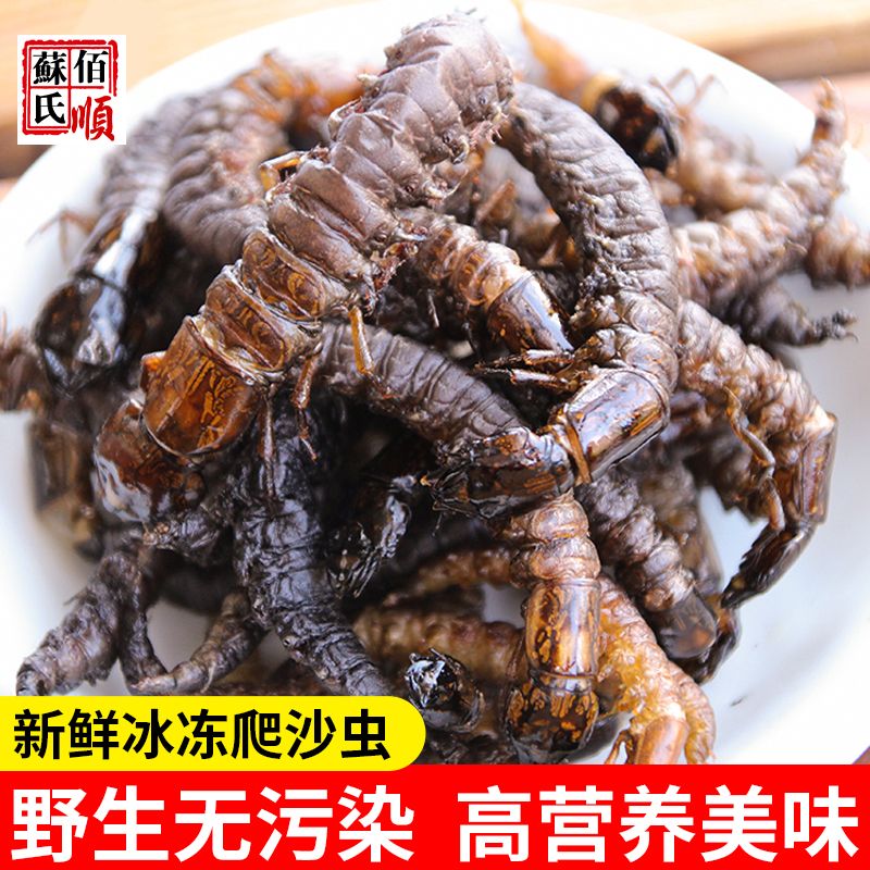 冰冻爬沙虫高营养特产野生大个爬沙虫水蜈蚣安宁土人参食用炸昆虫