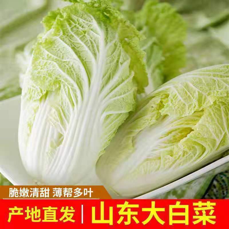 山东寿光黄心大白菜批发10斤绿色无公害自种整颗辣白菜包头菜3斤