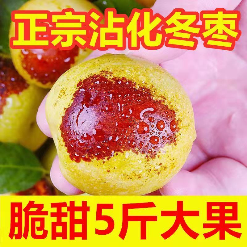 106021-山东沾化冬枣新鲜水果当季整箱特大5斤枣子脆枣鲜枣甜冬枣-详情图