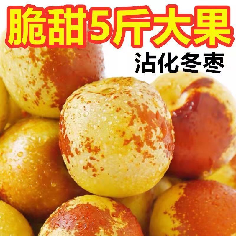106021-山东沾化冬枣新鲜水果当季整箱特大5斤枣子脆枣鲜枣甜冬枣-详情图