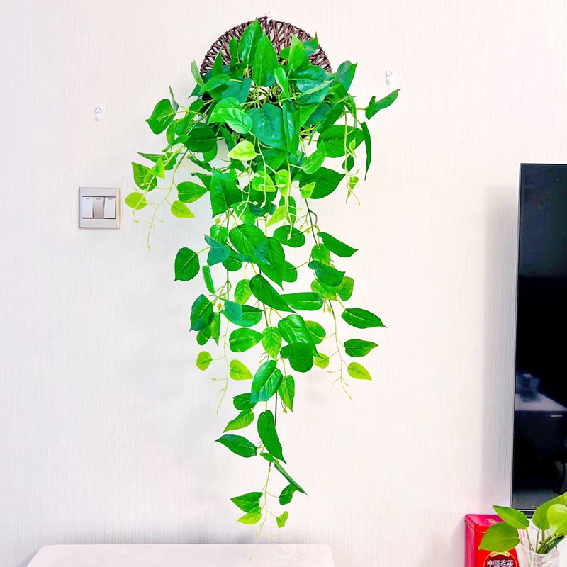 仿真绿萝挂墙遮丑绿植藤蔓壁挂客厅墙面装饰墙壁绿叶假叶子自粘