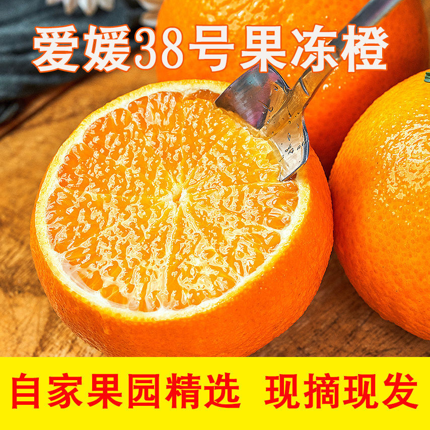 105965-四川丹棱爱媛果冻橙皮薄无籽酸甜多汁化渣 新鲜时令水果5斤10斤-详情图