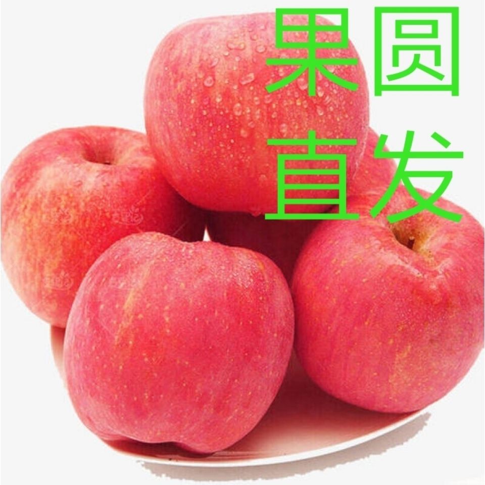 苹果脆甜现摘红富士冰糖心当季水果批发10斤5斤包邮