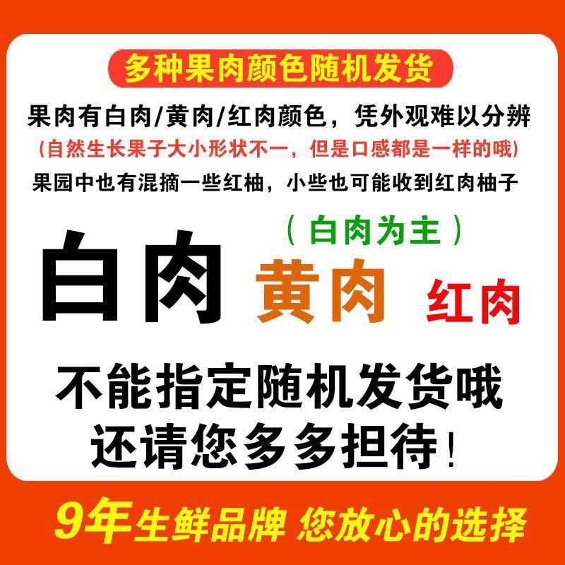 106151-【酸甜可口】柚子蜜柚 单果900克 多仓发货-详情图