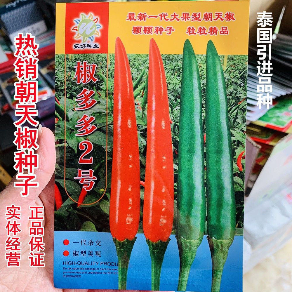 正品原包装椒多多2号朝天椒种子 大果型米椒种子泰国引进辣椒种籽