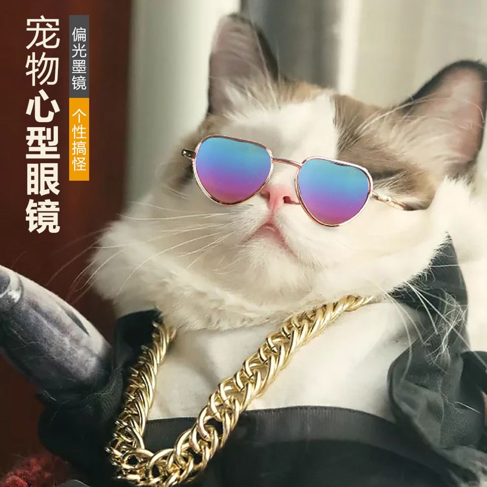 抖音宠物猫眼镜猫墨镜搞怪拍照道具小型犬科基泰迪墨镜宠物装饰品