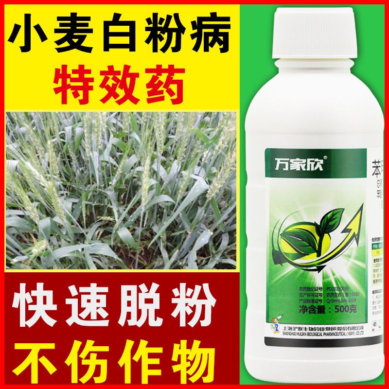 小麦专用农药赤霉病锈病纹枯立枯病白粉病特效药杀菌剂苯甲嘧菌酯