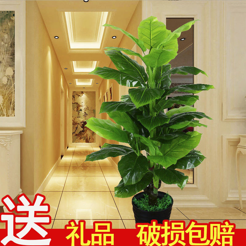 假树仿真植物盆景室内装饰滴水观音盆栽假花大型客厅落地绿植摆件 虎窝拼