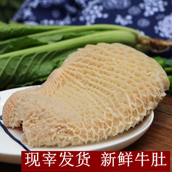 金钱肚1500g 生牛金钱肚 蜂窝肚 农家 黄牛新鲜牛金钱肚【3月23日发完