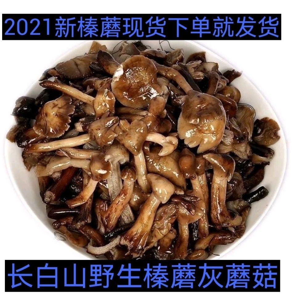 新鲜2021年腌制榛蘑灰蘑菇现货新鲜蘑菇东北野生榛蘑特产榛蘑干