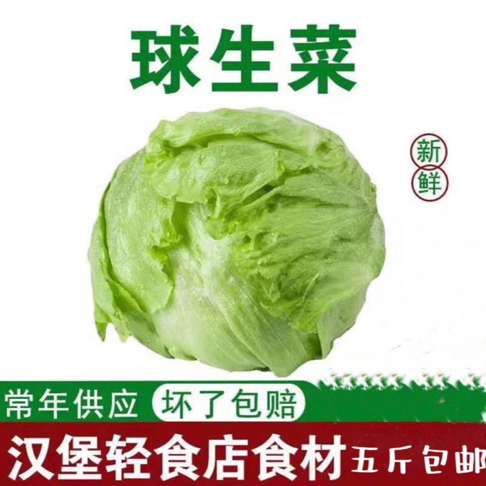 生菜新鲜蔬菜生吃生菜球圆生菜生吃生菜球形生菜汉堡用西生菜新鲜