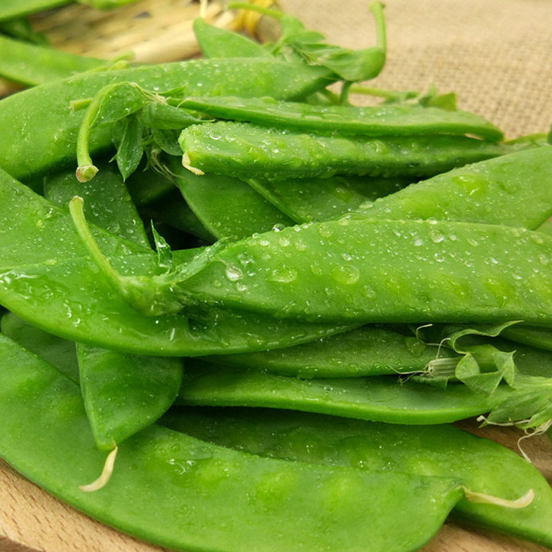 新鲜绿色蔬菜荷兰豆荚豌豆荚云南高山种植无污染孕妇宝宝蔬菜