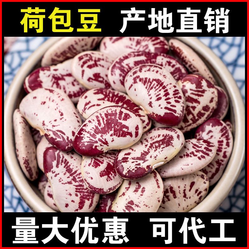 荷包豆5斤大肾豆状元豆富贵豆花纹斑马豆耳豆煲汤煮粥杂粮1斤批发