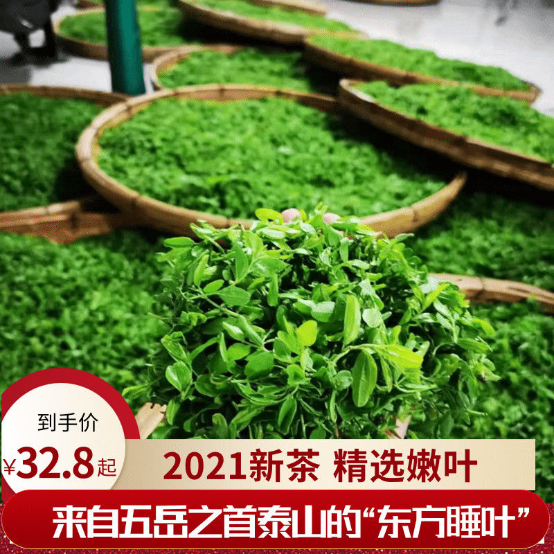 酸枣叶茶正宗泰安新茶酸枣仁茶叶手工炒制助睡眠安睡茶