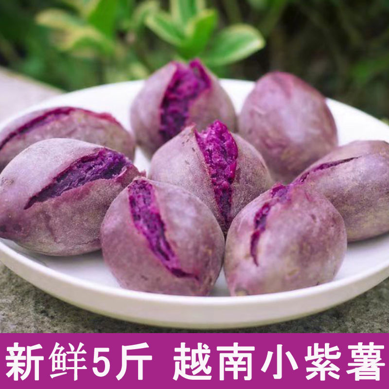 【大促销】越南紫薯新鲜小紫薯10斤/1斤粉糯香甜现挖红薯珍珠紫番