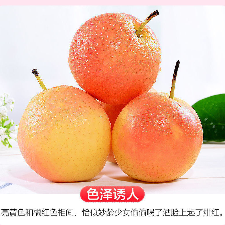 【大促销】南果梨10斤装海城南果梨正宗鞍山南果梨东北特产水果梨