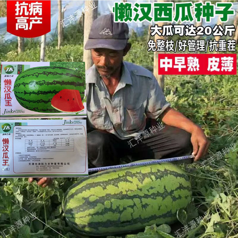 高产懒汉王西瓜种子大全超甜南方新品种特大西瓜农科院水果西瓜子