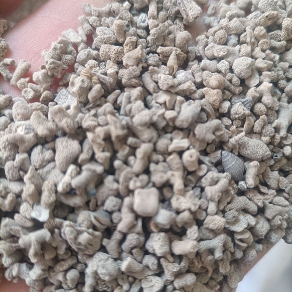 中药材天然海浮石花 海石 水泡石 浮海石花 浮水石 正品包邮