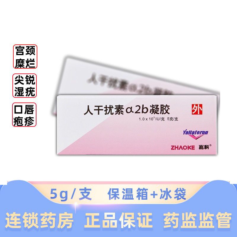 兆科 尤靖安 重组人干扰素a2b凝胶 5g*1支/盒 治疗宫颈糜烂,治疗尖锐