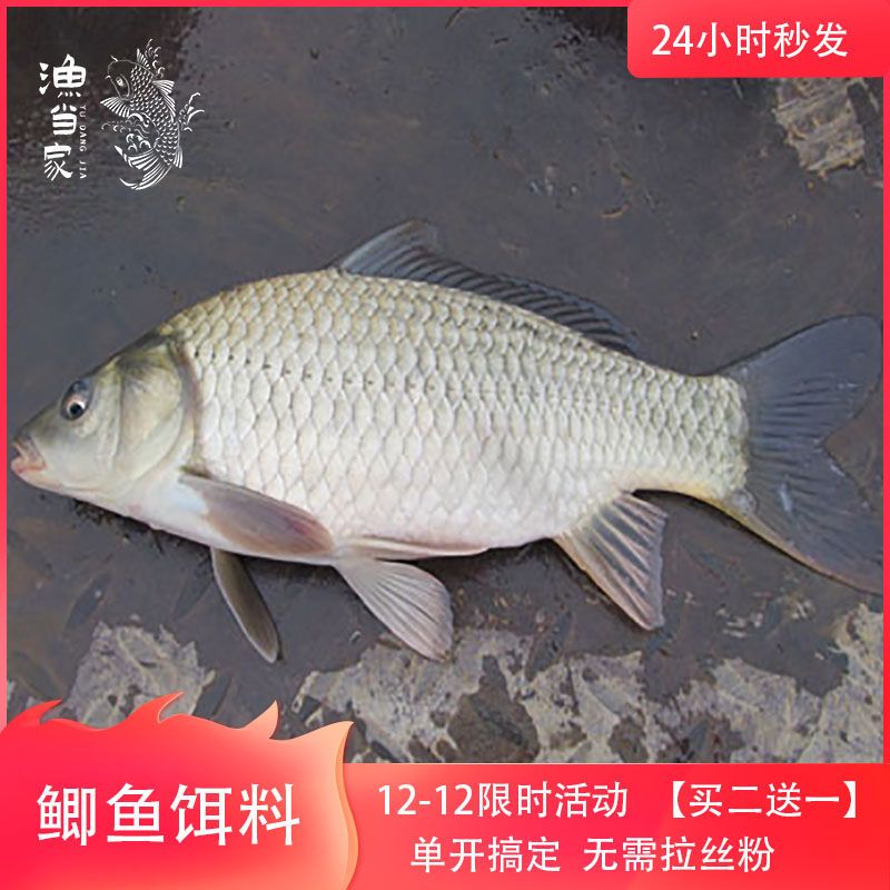 【渔当家】鲫鱼饵料黑坑大板鲫奶香鲫工程鲫鱼食水库红虫腥香奶香