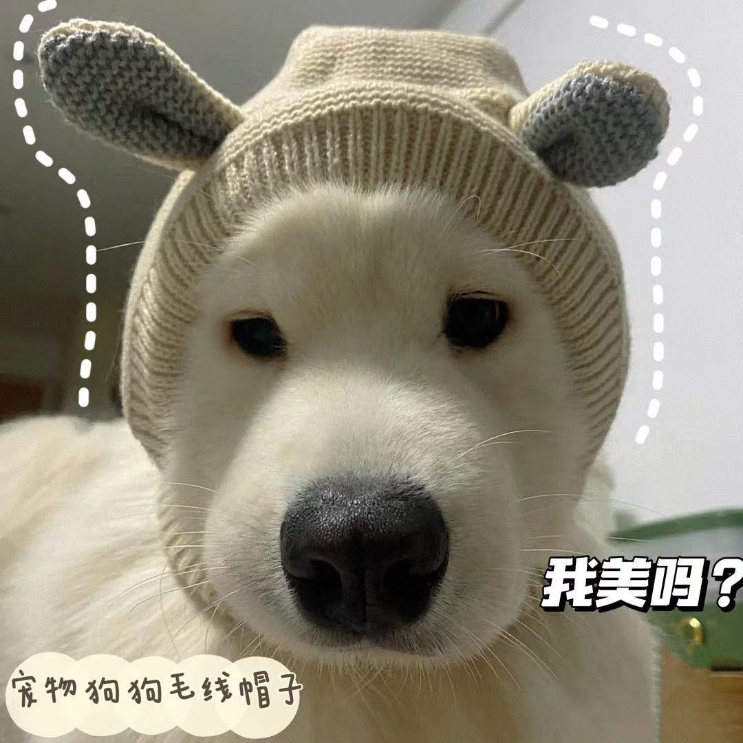 小红书同款宠物狗毛线帽冬大型犬可爱保暖拉布拉多金毛大狗帽子【3月6