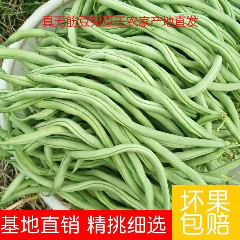 云南新鲜四季豆无筋豆整箱无丝豆角新鲜蔬菜1/3/5斤