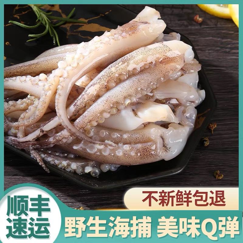 鱿鱼须 鱿鱼须生鲜 鱿鱼须冰鲜 烧烤火锅餐饮海鲜健康食材