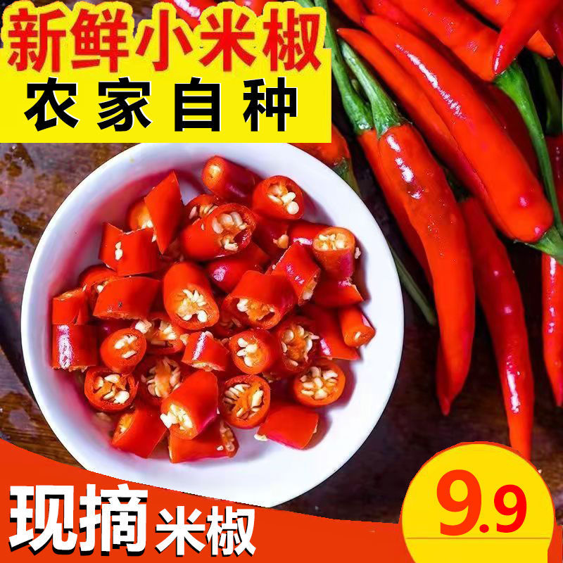 广东小米椒新鲜辣椒批发5斤朝天椒红辣指天椒做辣椒酱泡菜用100g