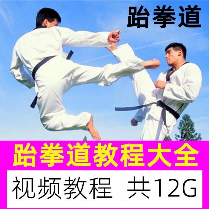跆拳道教学视频大全自学武术搏击技法腿法手法组合运用训练教程