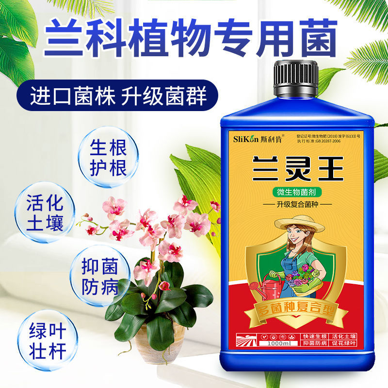 兰灵王兰花专用营养液君子兰生根催芽促开花肥料兰菌王微生物菌剂