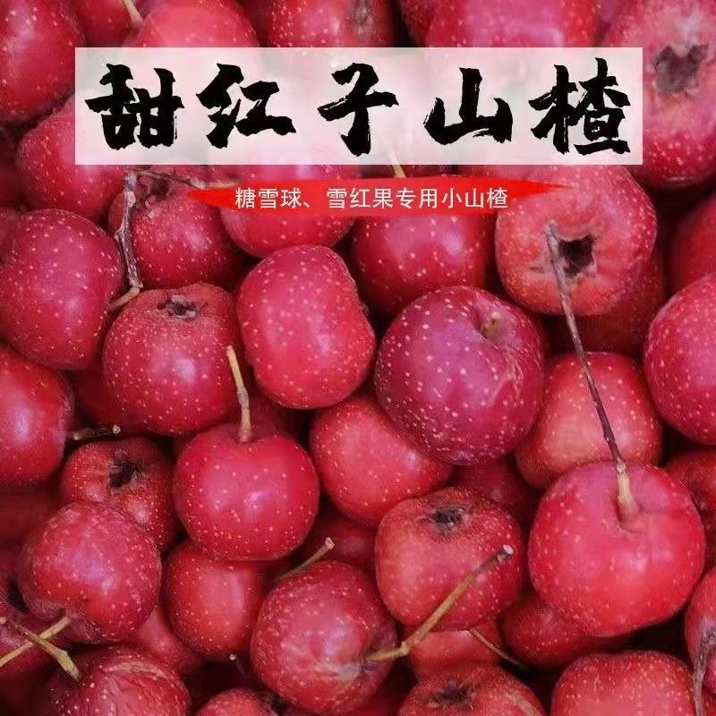 南流泉新鲜甜红子山楂山里红甜酷糖葫芦炒雪红果专用精品山楂批发