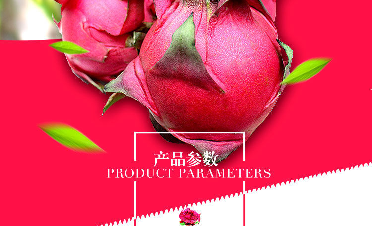 海南金都一号红心火龙果超甜应季新鲜水果整箱批发价3/5/10斤