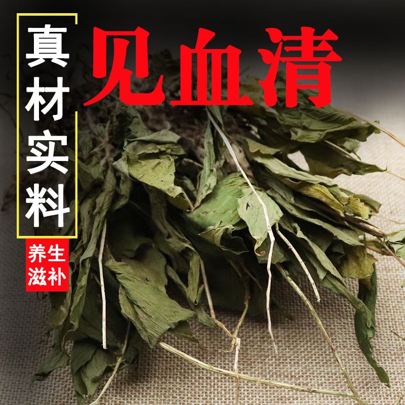 见血清野生中草药整颗新鲜见血青中药干货正品羊耳蒜见血清草
