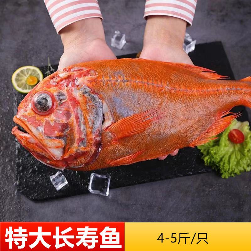 新西兰特大长寿鱼4-5斤/只 富贵鱼红橙鲷斑鱼深海鱼冷冻海鲜水产