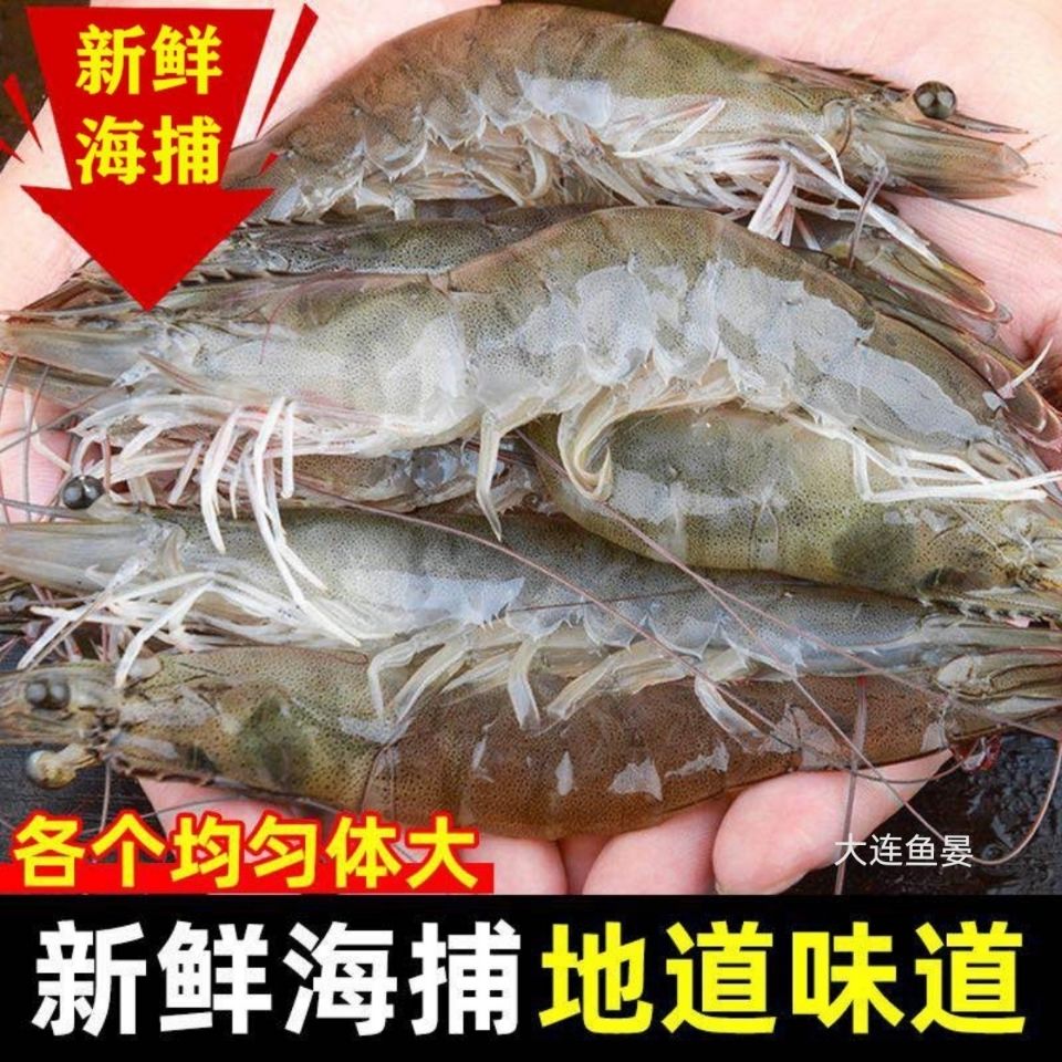 野生大虾渤海湾对虾大连大虾渤海大虾大连野生大虾大连海鲜