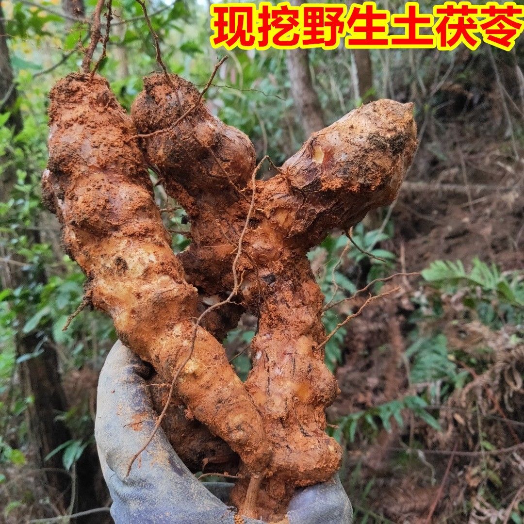 正宗土茯苓片干货农家野生特级新鲜中药材泡茶泡水煲汤伏苓500克