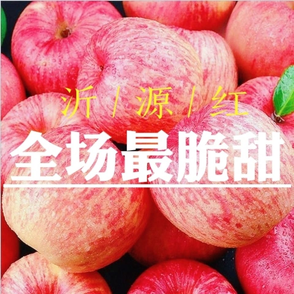 超低价沂源苹果水果新鲜吃的水果红富士苹果脆甜多汁当季现摘应季【15