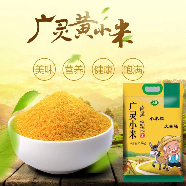 正宗广灵小米大白谷月子米宝宝辅食小米5斤装