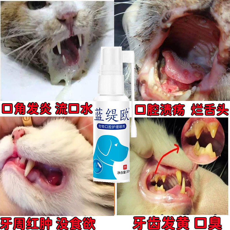 犬猫口炎猫流口水除口臭口腔溃烂牙龈红肿牙结石口炎速清消炎喷剂